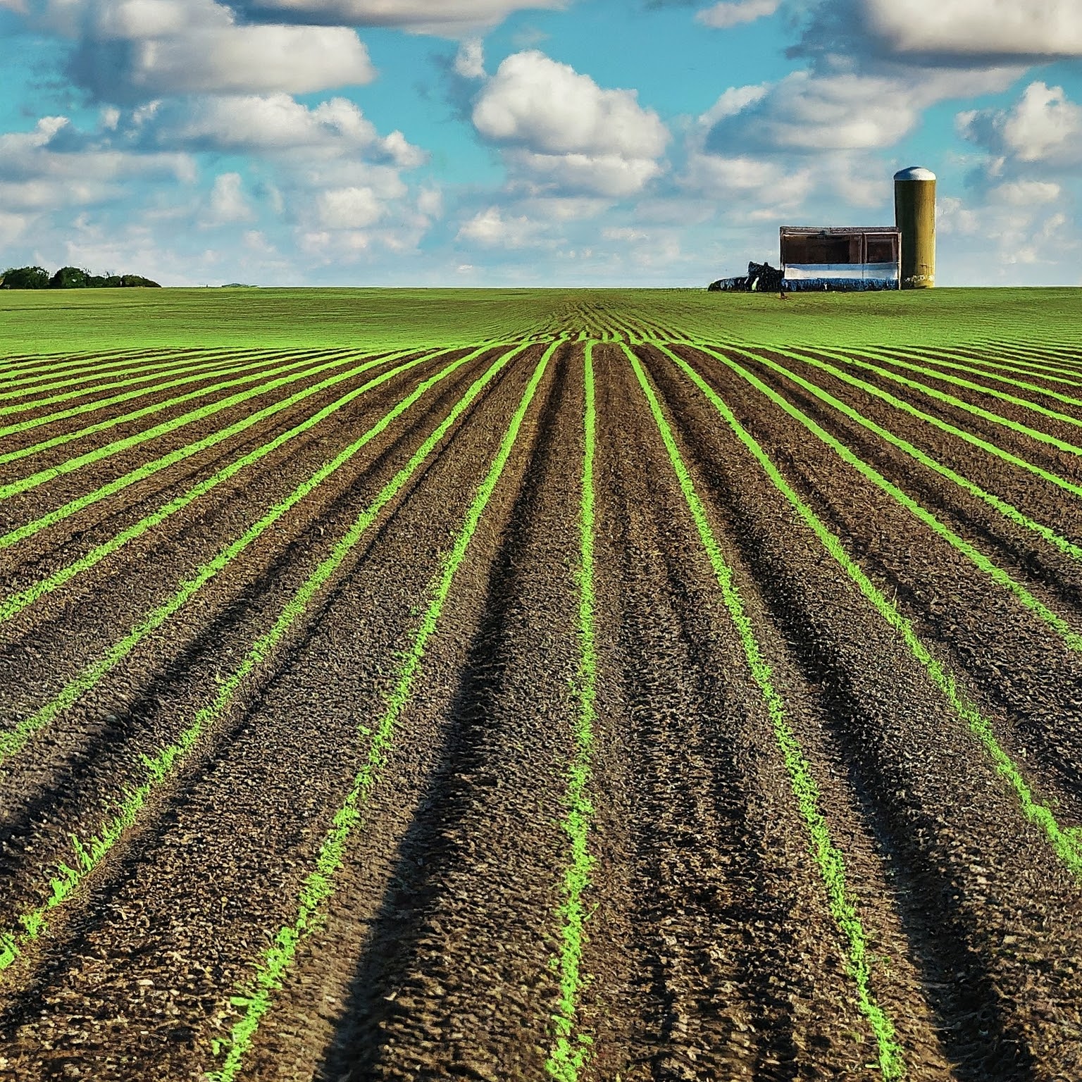 Rollins Announces Rules to Shield Agriculture from Foreign Adversaries