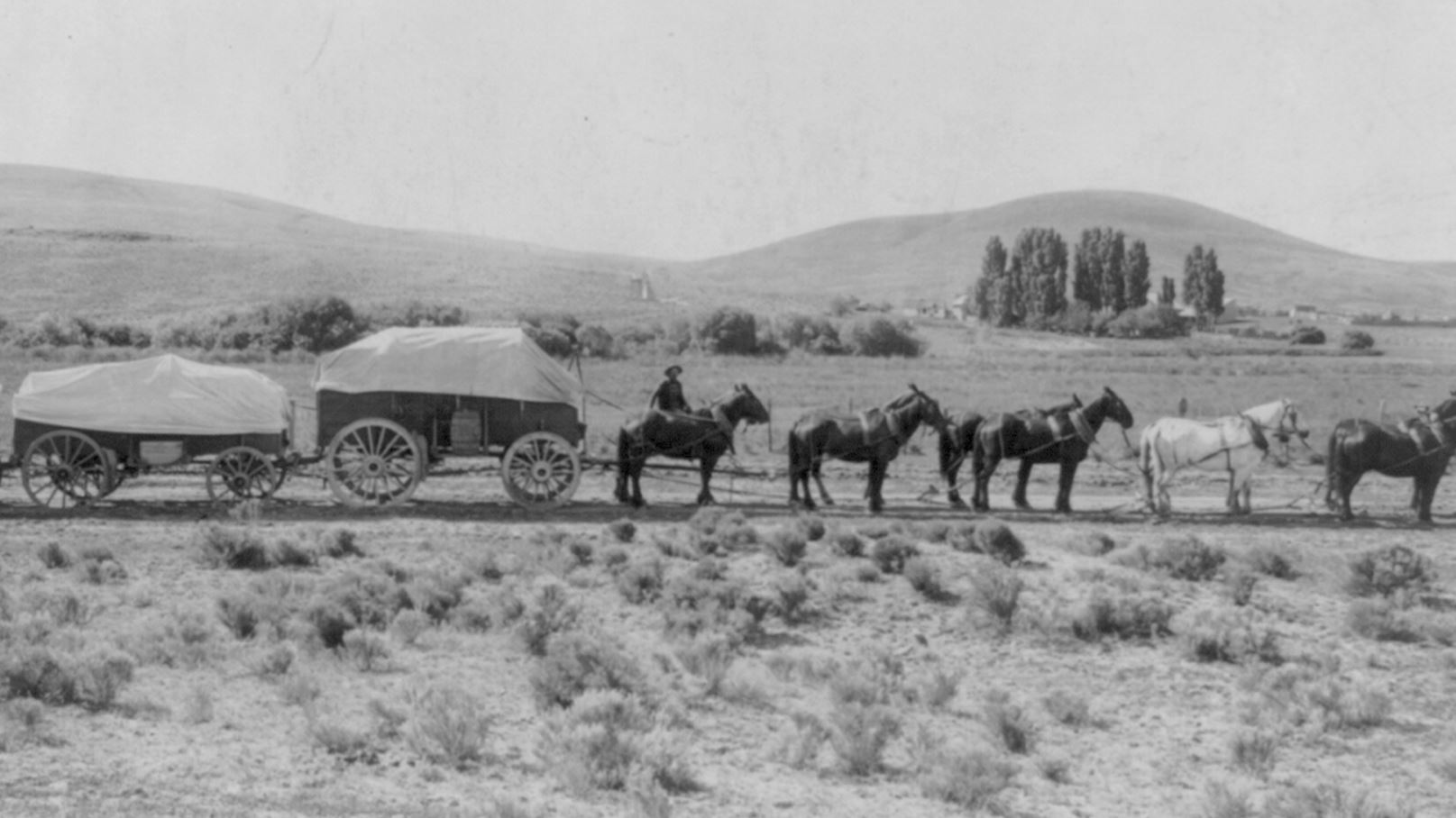 Canada’s Rail Lockout A Headache For Chicago Business
